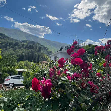 Guest house Red Rose